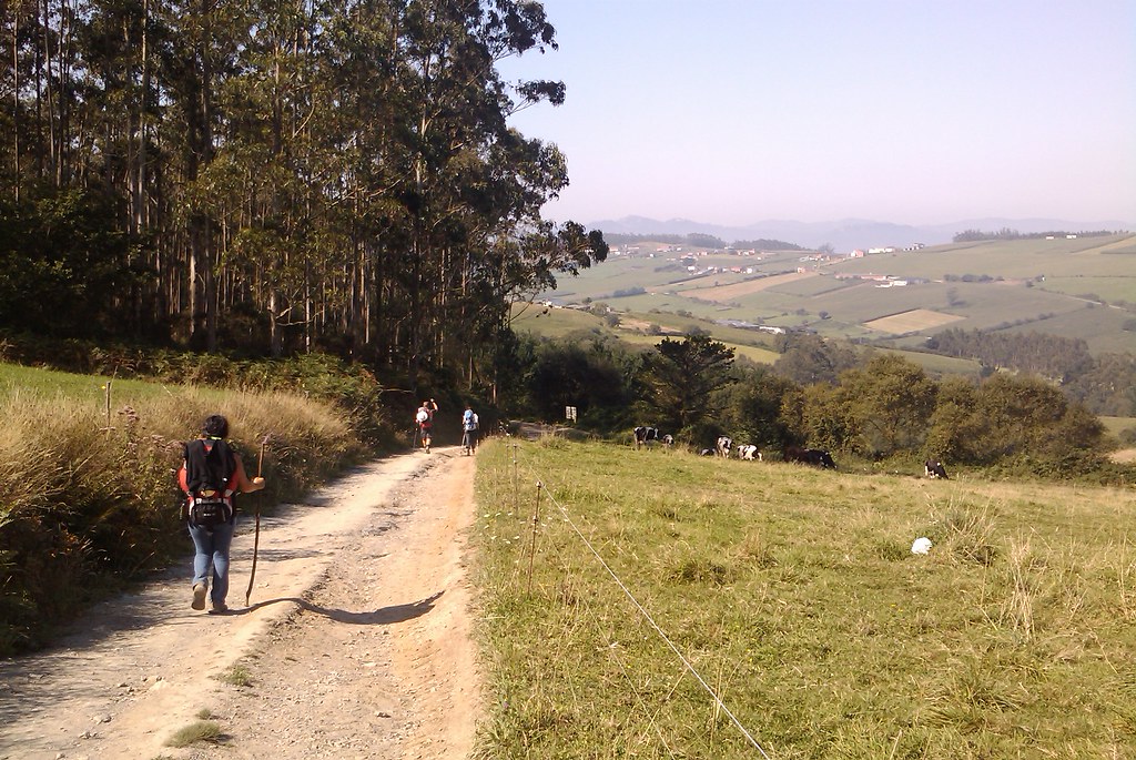 Camino Francés desde Sarria